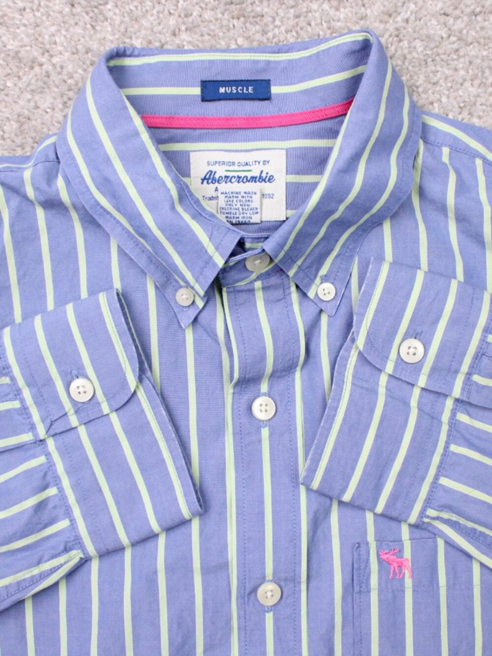 Abercrombie & Fitch Shirt Mens XL Blue/Green Muscle Fit Long Sleeve Y2K Moose
